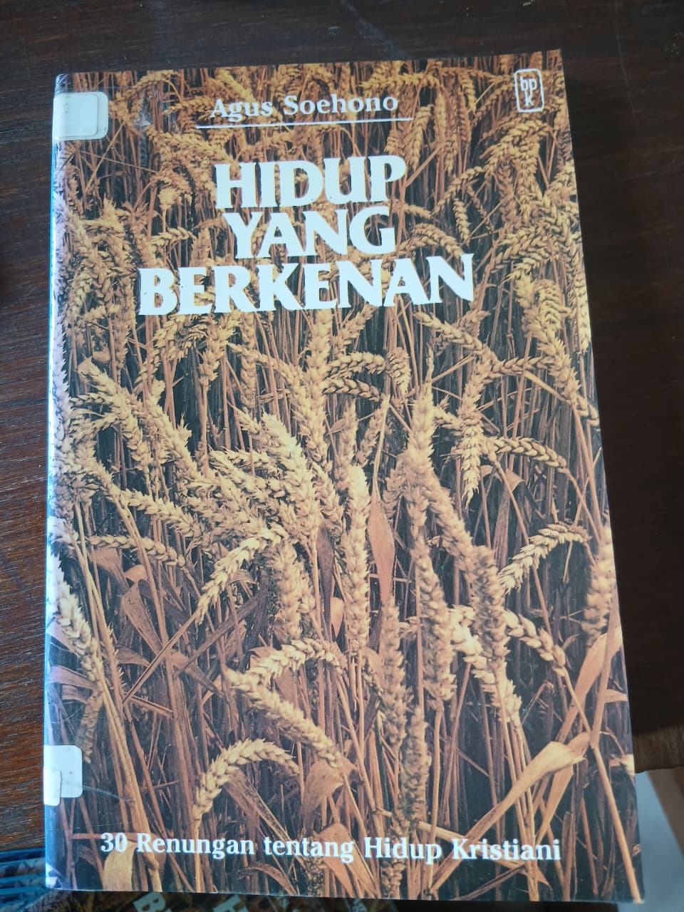 Cover buku HIDUP YANG BERKENAN