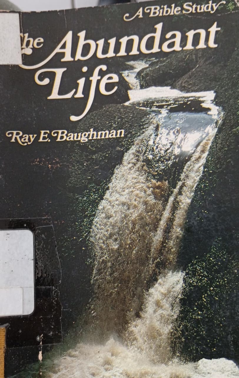 Cover buku The abudant life