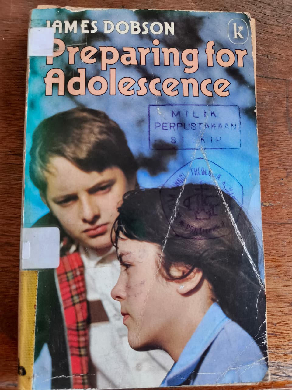 Cover buku Preparing for Adolescence