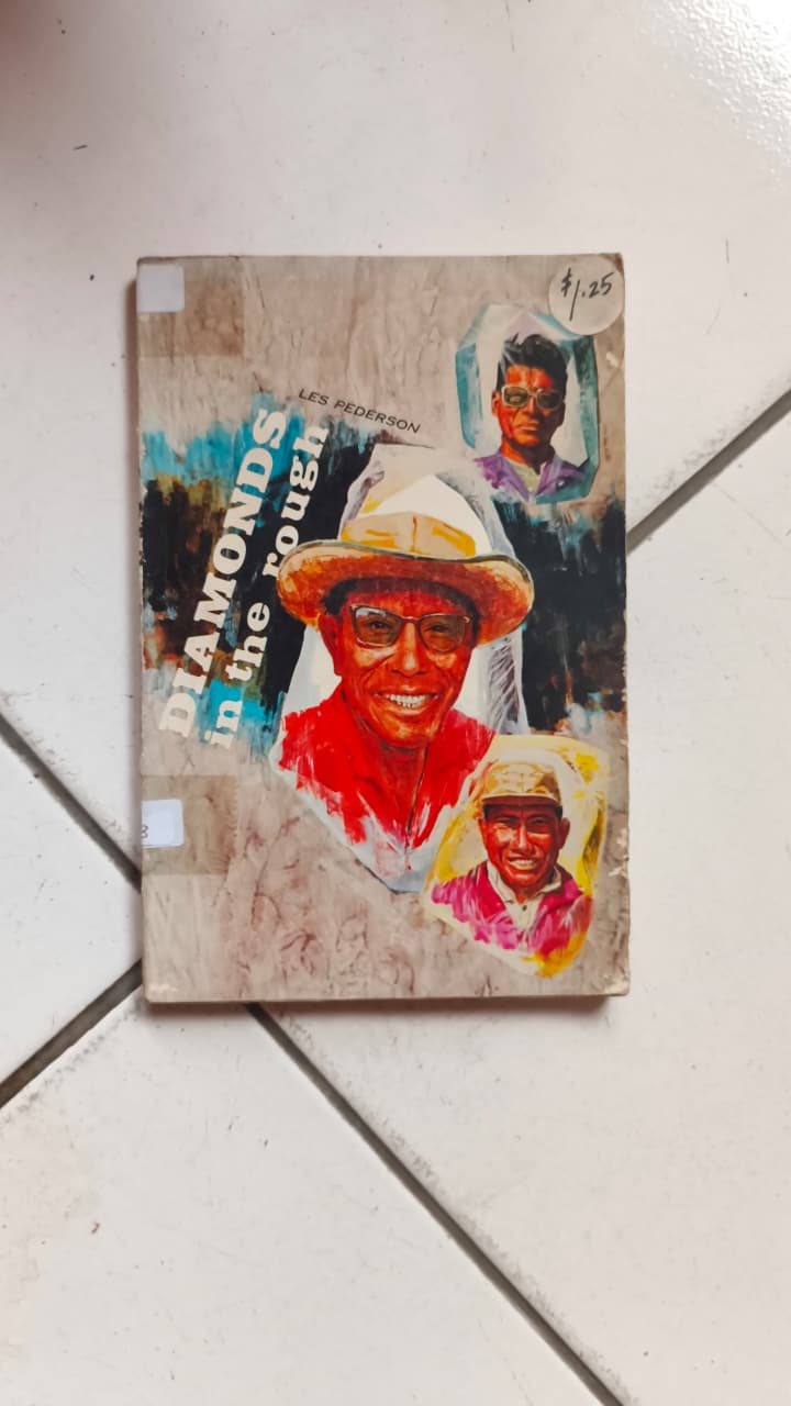 Cover buku Diamonds In The Rough