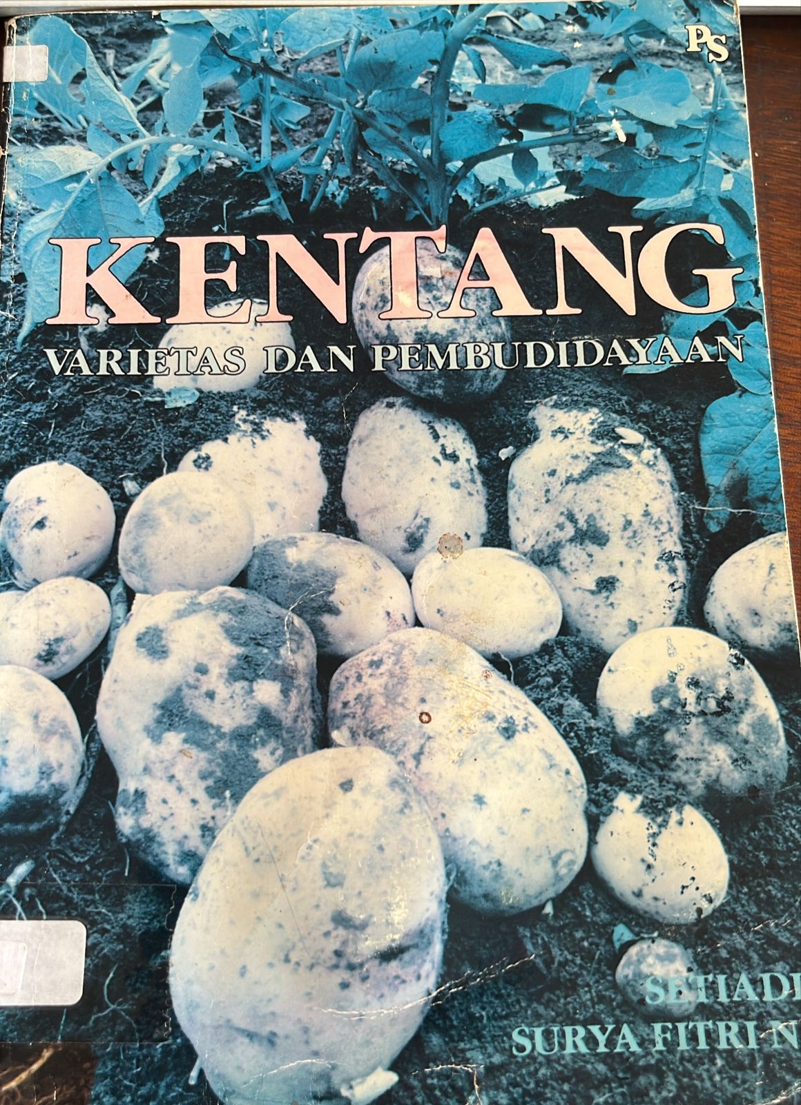 Cover buku Kentang Varietas Dan Pembudidayaan