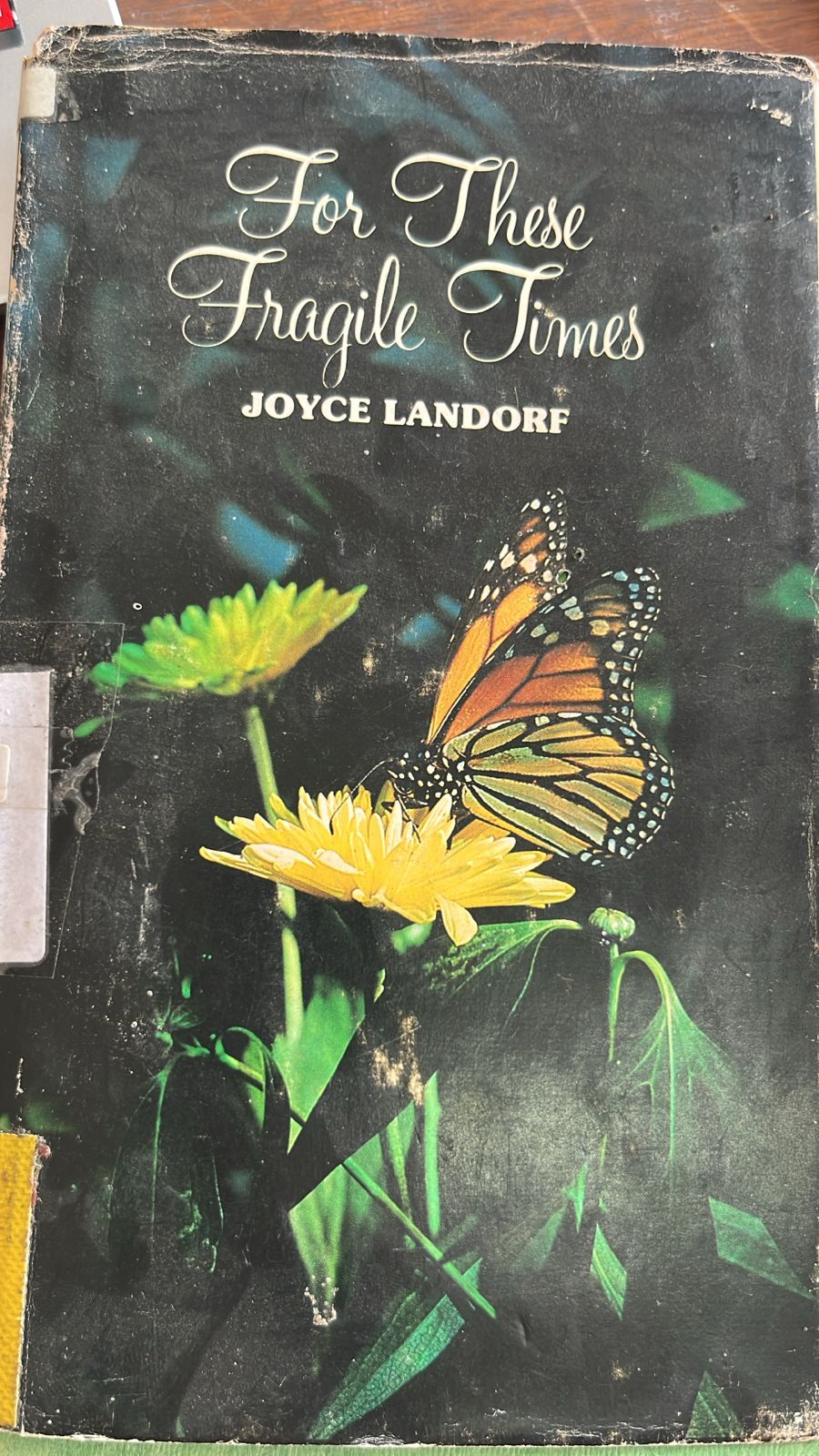 Cover buku For These Fragile Times