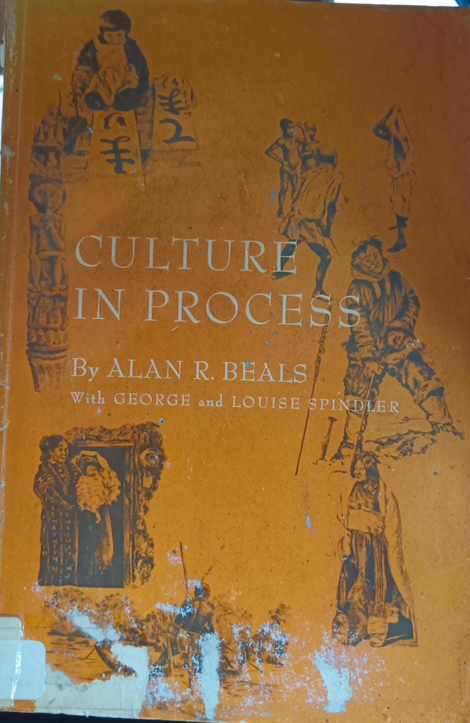 Cover buku Culture In Process