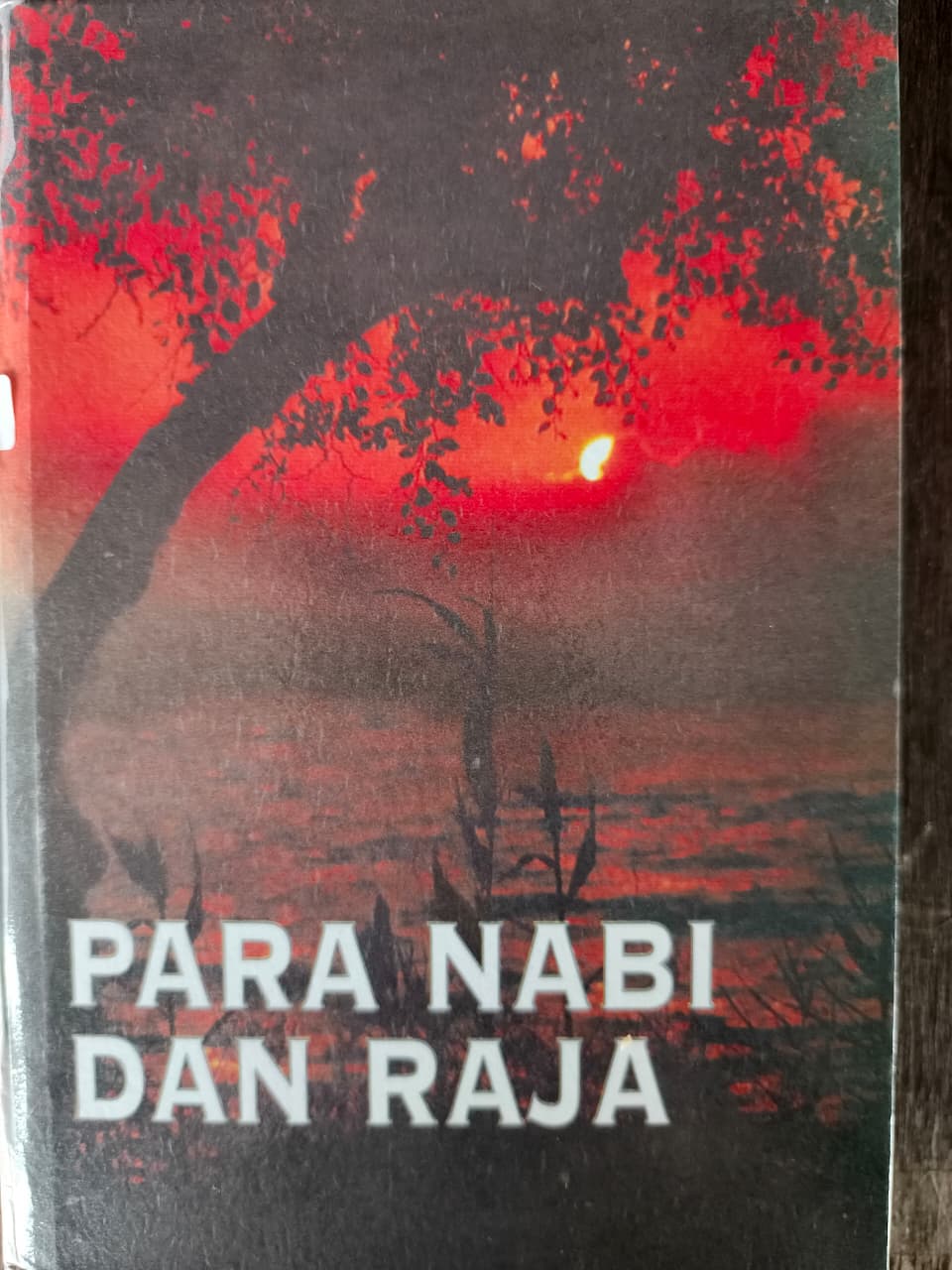 Cover buku Para Nabi dan Raja
