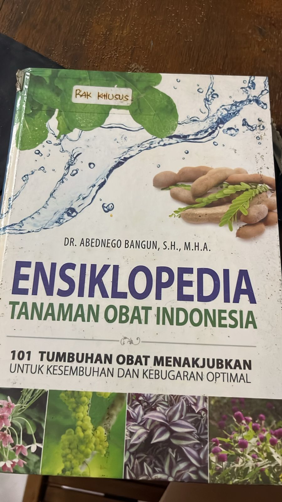 Cover buku Ensiklopedia Tanaman Obat Indonesia