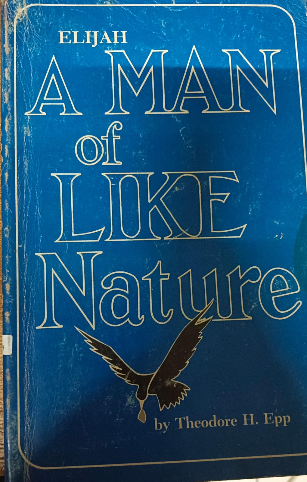 Cover buku ELIJAH A AMN OF LIKE Nature