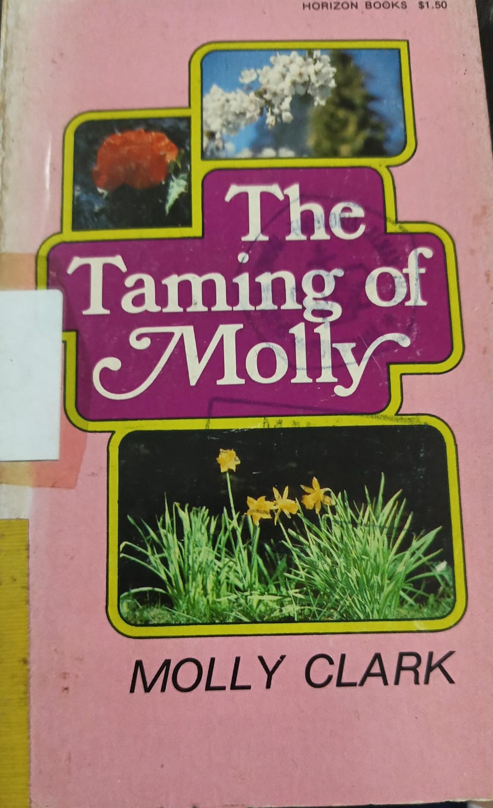 Cover buku The Taming Of Molly