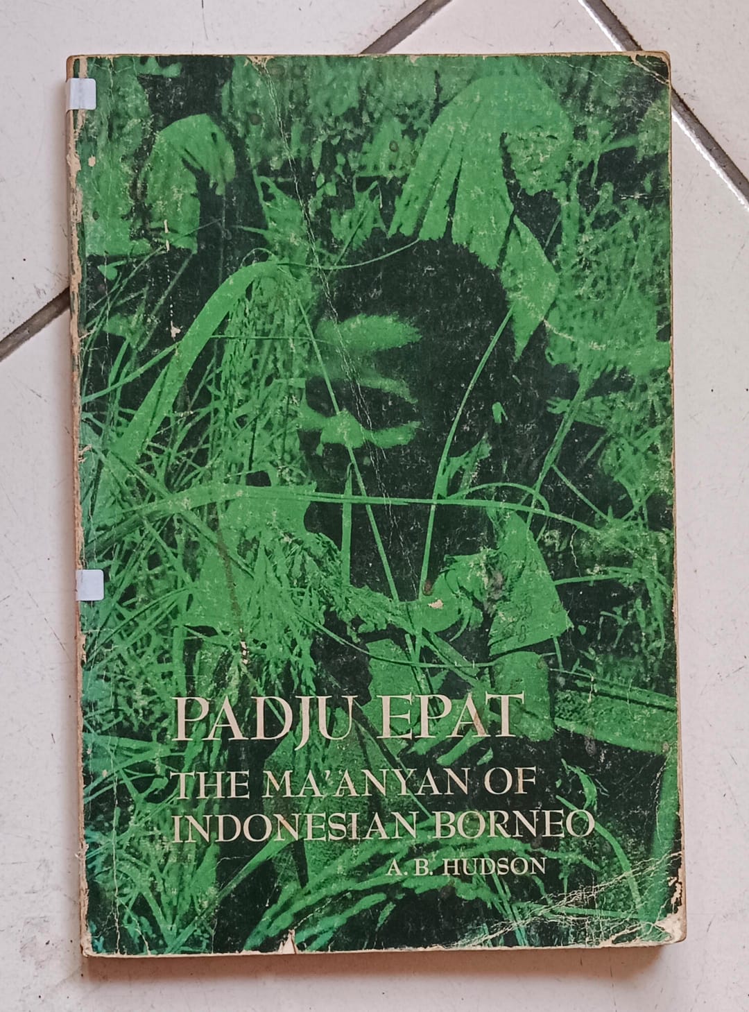 Cover buku PADJU EPAT THE MA'ANYAN OF INDONESIAN BORNEO
