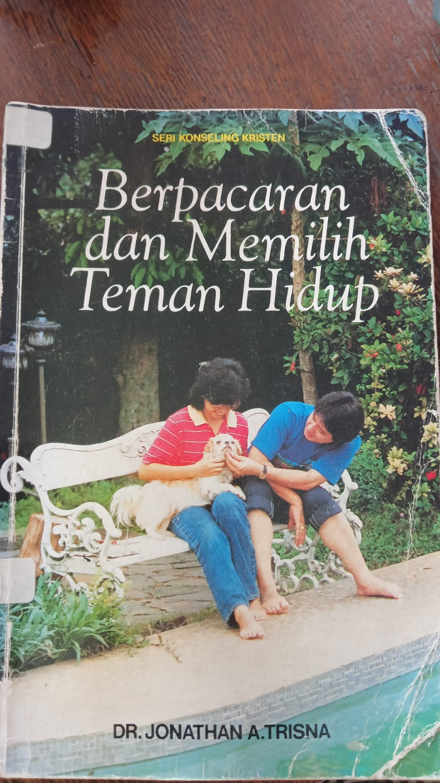 Cover buku Berpacaran dan Memilih Teman Hidup