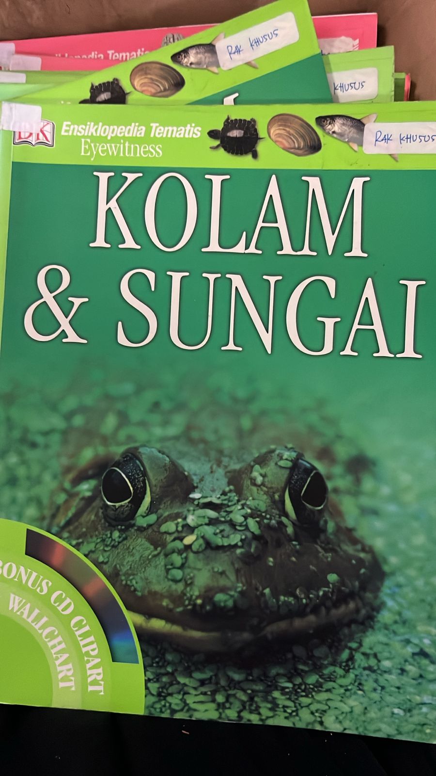 Cover buku Kolam Dan Sungai