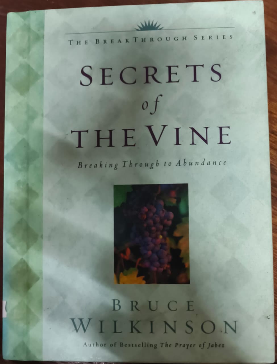 Cover buku Secrets of The Vine