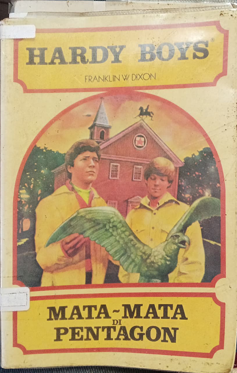 Cover buku HARDY BOYS