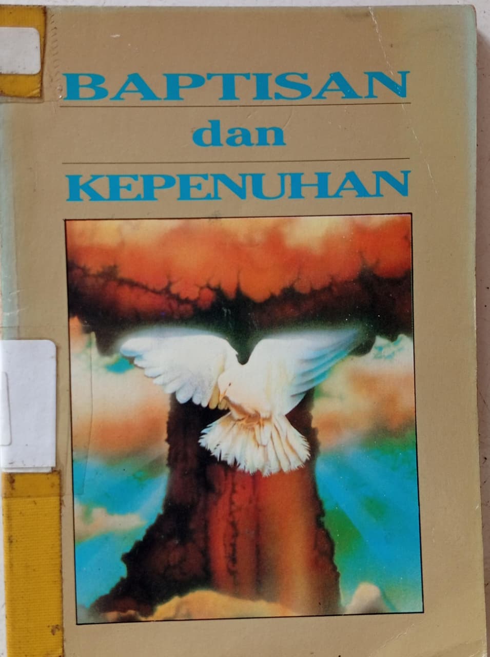 Cover buku Baptisan dan Kepenuhan