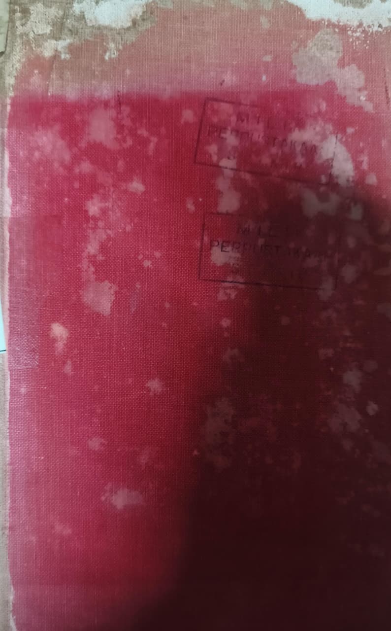 Cover buku WORLD AFLAME